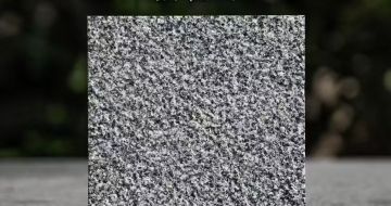 营口 芝麻黑荔枝面