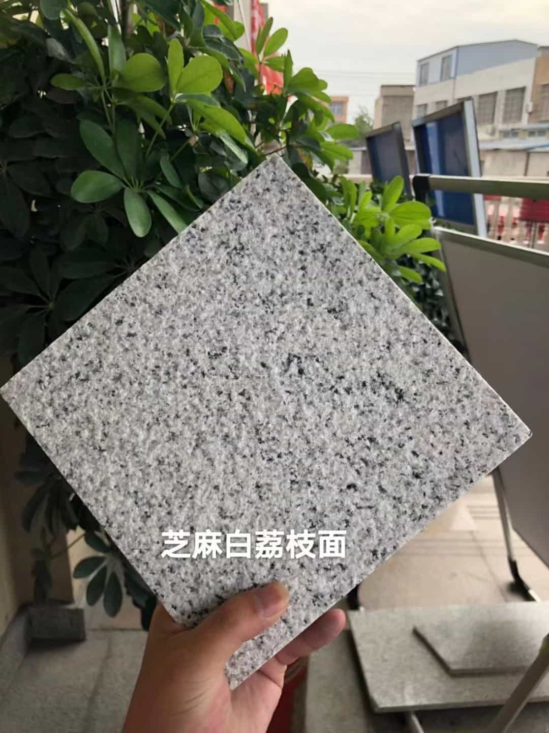 营口 芝麻白荔枝面干挂