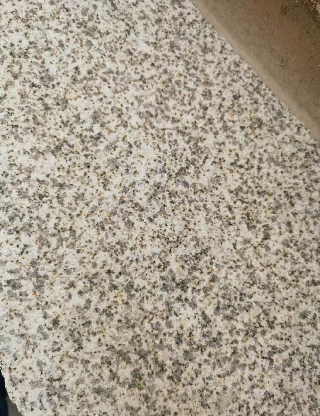 营口 黄金麻中黄光面