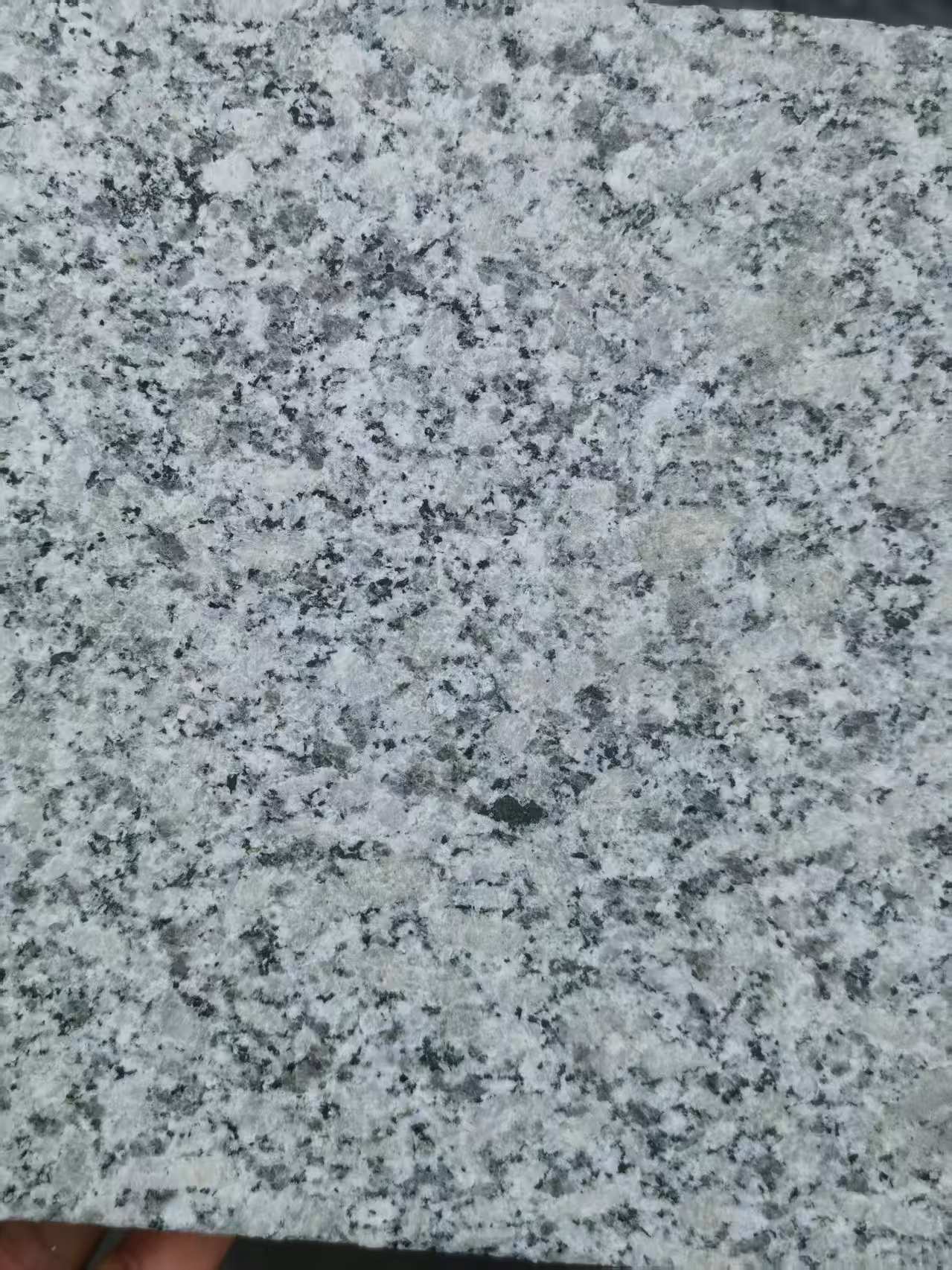 营口 芙蓉白火烧面